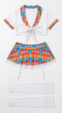 Playful Rainbow Plaid Tie-Front Top & Lace-Trim Mini Skirt Costume Set